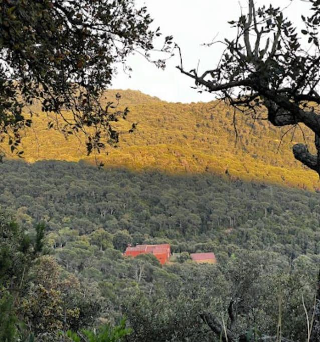 Masia Can Castellar Sant Iscle De Vallalta Экстерьер фото